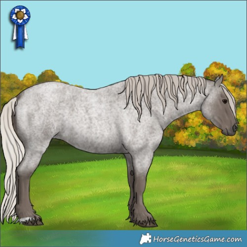 Horse Color:Silver Blue Roan 