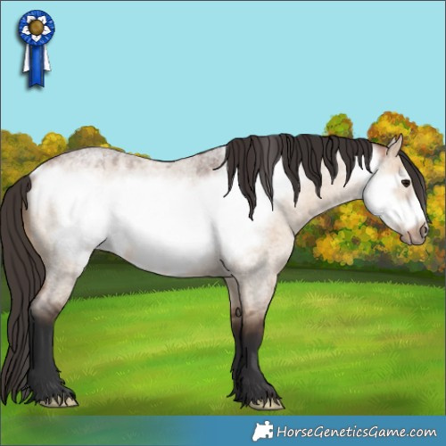 Horse Color:Bay Roan Dun Frame 