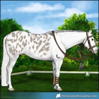 Horse Color:Silver Smoky Grullo Splash Blanket 