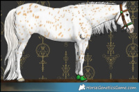 Horse Color:Silver Buckskin Leopard 