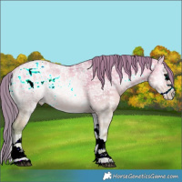 Horse Color:Watercolor Bay Ice Pearl Onyx Splash 