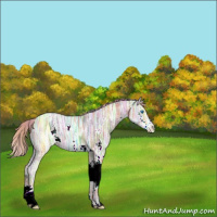 Horse Color:Nacre Chestnut Ice Splash 