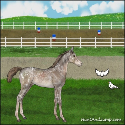 Horse Color:White Spotted Liver Chestnut Ice Sabino 