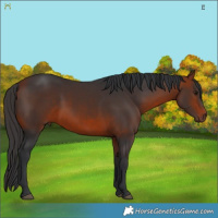 Horse Color:Brown 