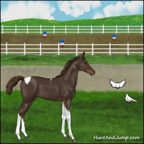 Horse Color:Liver Chestnut Tobiano 