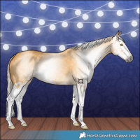 Horse Color:Gray Palomino Dun Splash 