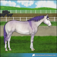Horse Color:Watercolor Bay Onyx Rabicano 