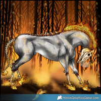 Horse Color:Platinum Silver Brown Roan Dun Splash Tobiano  and Platinum Grullo Roan Splash Tobiano Frame Rabicano 