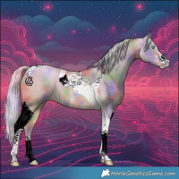 Horse Color:Nacre Watercolor Silver Buckskin Pearl Tobiano 