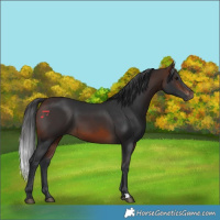 Horse Color:Brown 