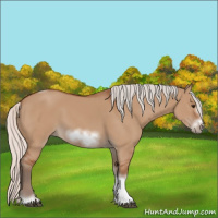 Horse Color:Silver Bay Dun Sabino Tobiano Frame Rabicano 