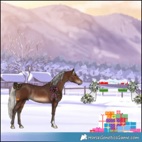 Horse Color:Silver Brown Rabicano 