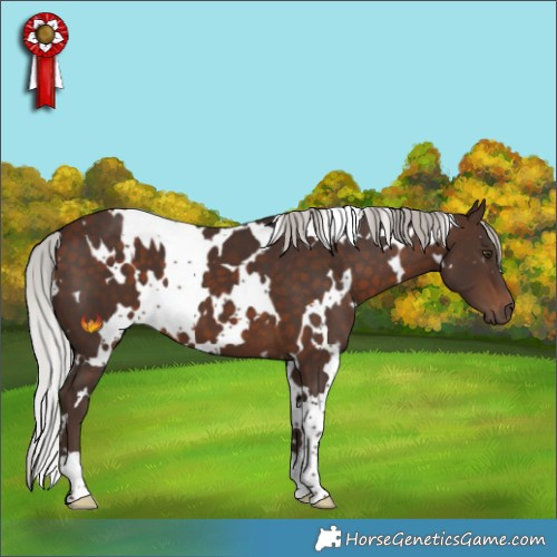 Horse Color:White Spotted Silver Brown