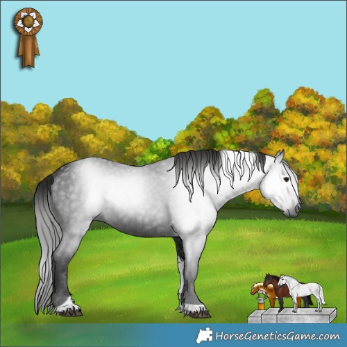 Horse Color:Gray Black Tobiano Rabicano 