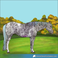 Horse Color:Painted Liver Chestnut Ice Tobiano 