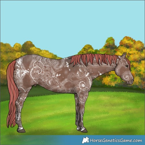 Horse Color:Painted White Spotted Liver Chestnut Ice 