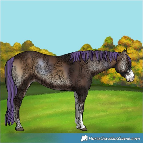 Horse Color:Painted Liver Red Onyx Ice Sabino 