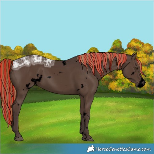 Horse Color:Void Painted White Spotted Liver Chestnut Ice 