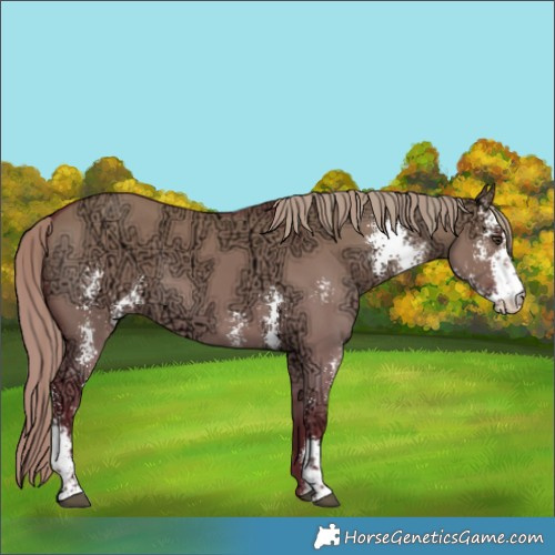 Horse Color:Watercolor Liver Red Dun Ice Sabino 