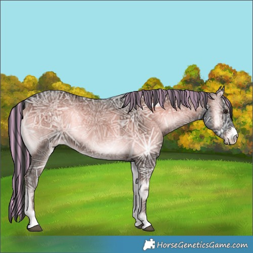 Horse Color:Painted Liver Red Onyx Ice Sabino 