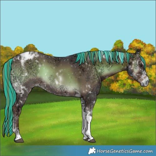 Horse Color:Painted Liver Red Onyx Ice Tobiano 