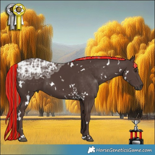 Horse Color:Painted White Spotted Liver Chestnut Ice