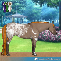 Horse Color:Painted White Spotted Liver Red Dun Ice 