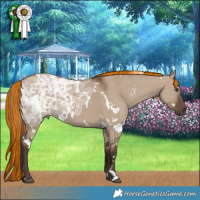 Horse Color:Painted White Spotted Liver Red Dun Ice 