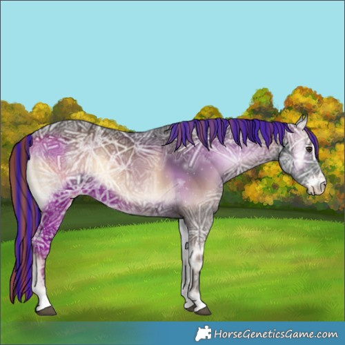 Horse Color:Painted Liver Red Onyx Ice Sabino 