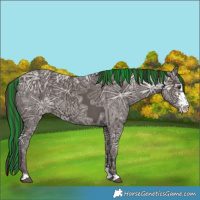 Horse Color:Painted Liver Chestnut Ice Sabino 