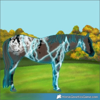 Horse Color:Void Thunderstruck White Spotted Liver Chestnut Ice Splash 