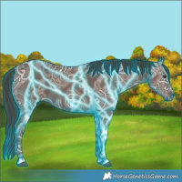 Horse Color:Thunderstruck Liver Chestnut Ice Sabino 