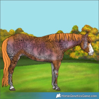 Horse Color:Watercolor Liver Red Onyx Ice Sabino 