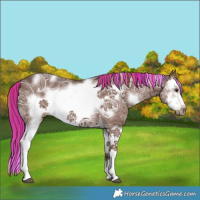 Horse Color:Painted White Spotted Liver Chestnut Ice Splash Frame 