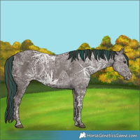 Horse Color:Painted Liver Chestnut Ice Sabino 