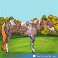 Horse Color:Watercolor Liver Red Dun Ice Tobiano 