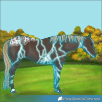 Horse Color:Thunderstruck Liver Chestnut Ice Sabino 
