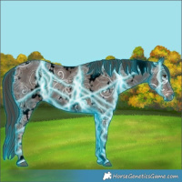 Horse Color:Void Thunderstruck White Spotted Liver Chestnut Ice 