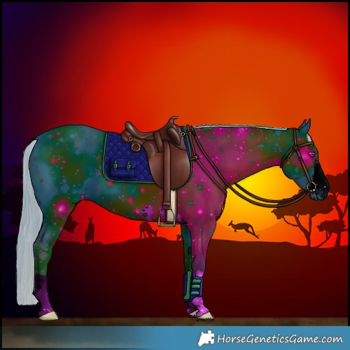 Horse Color:ERROR: UNKNOWN ANOMALY