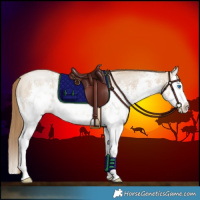 Horse Color:White Spotted Grullo Pearl Sabino Splash Rabicano 