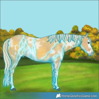 Horse Color:Thunderstruck White Spotted Palomino Ice Dun Splash 