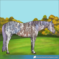 Horse Color:Painted White Spotted Liver Chestnut Ice 