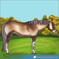 Horse Color:Painted Liver Red Onyx 