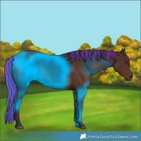 Horse Color:Painted Liver Chestnut 