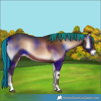 Horse Color:Painted Liver Red Onyx