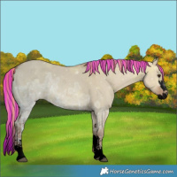 Horse Color:Void Painted Red Dun Ice Sabino Splash 