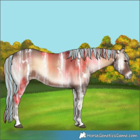 Horse Color:Painted White Spotted Liver Red Onyx Ice 