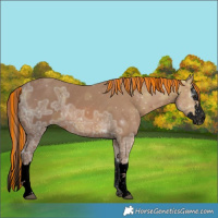 Horse Color:Void Painted Chestnut Ice Sabino Splash 