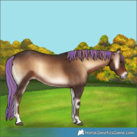 Horse Color:Painted Liver Red Onyx 