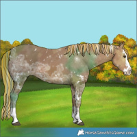 Horse Color:Painted White Spotted Chestnut Ice Splash 